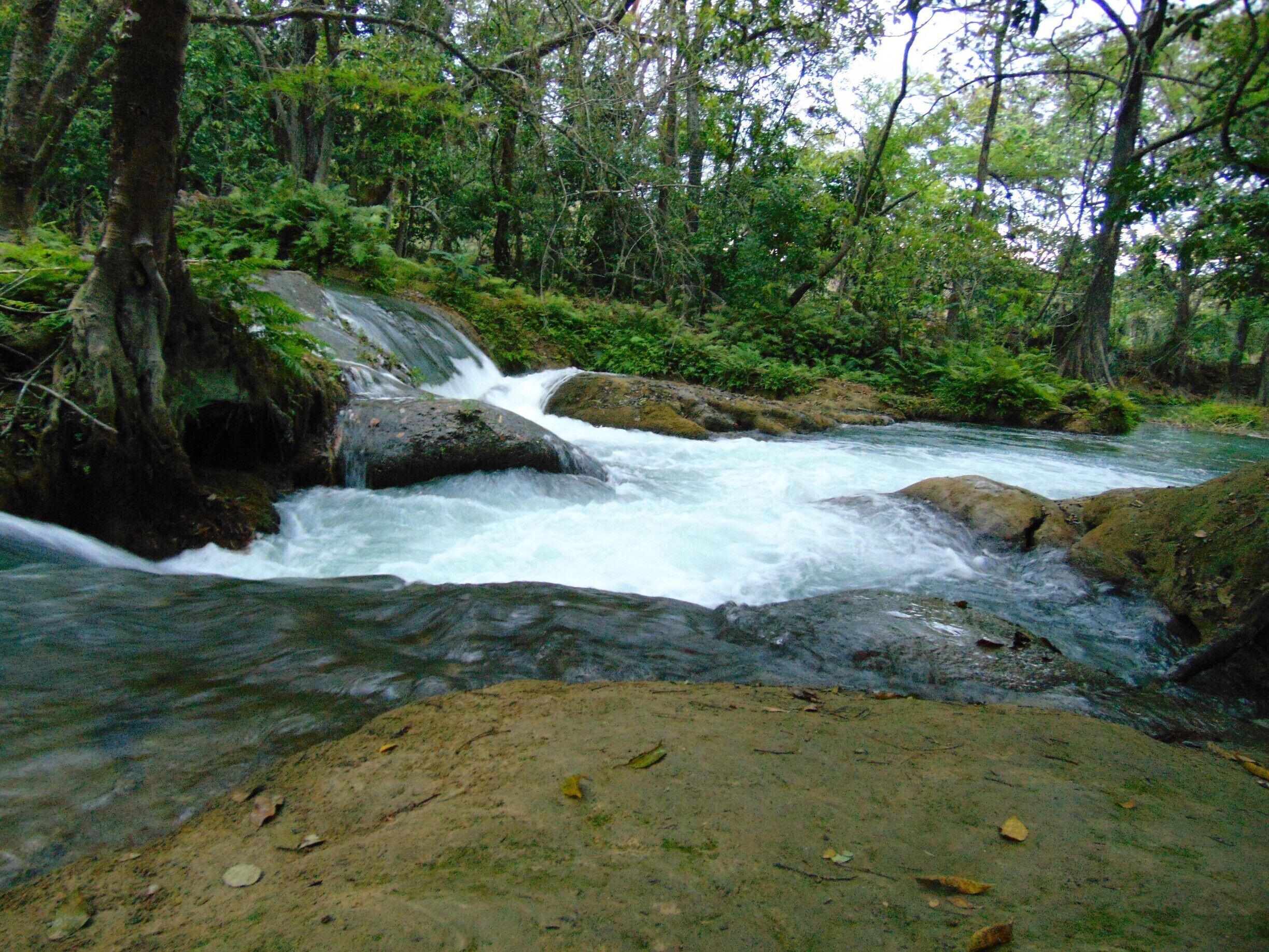 There are Cabins and a camping area. 