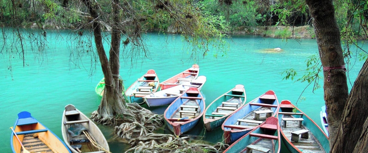 Several small boats tied to a tree trunk in a calm, turquoise river surrounded by lush greenery.