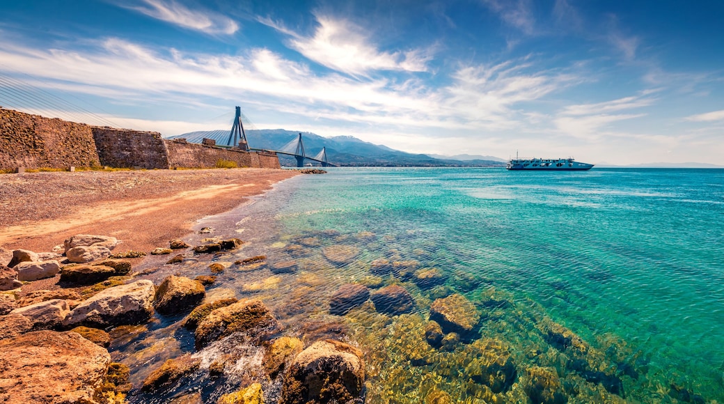 ์ฝ๋ฆฐํ ์ค