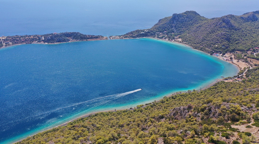 ์ฝ๋ฆฐํ ์ค