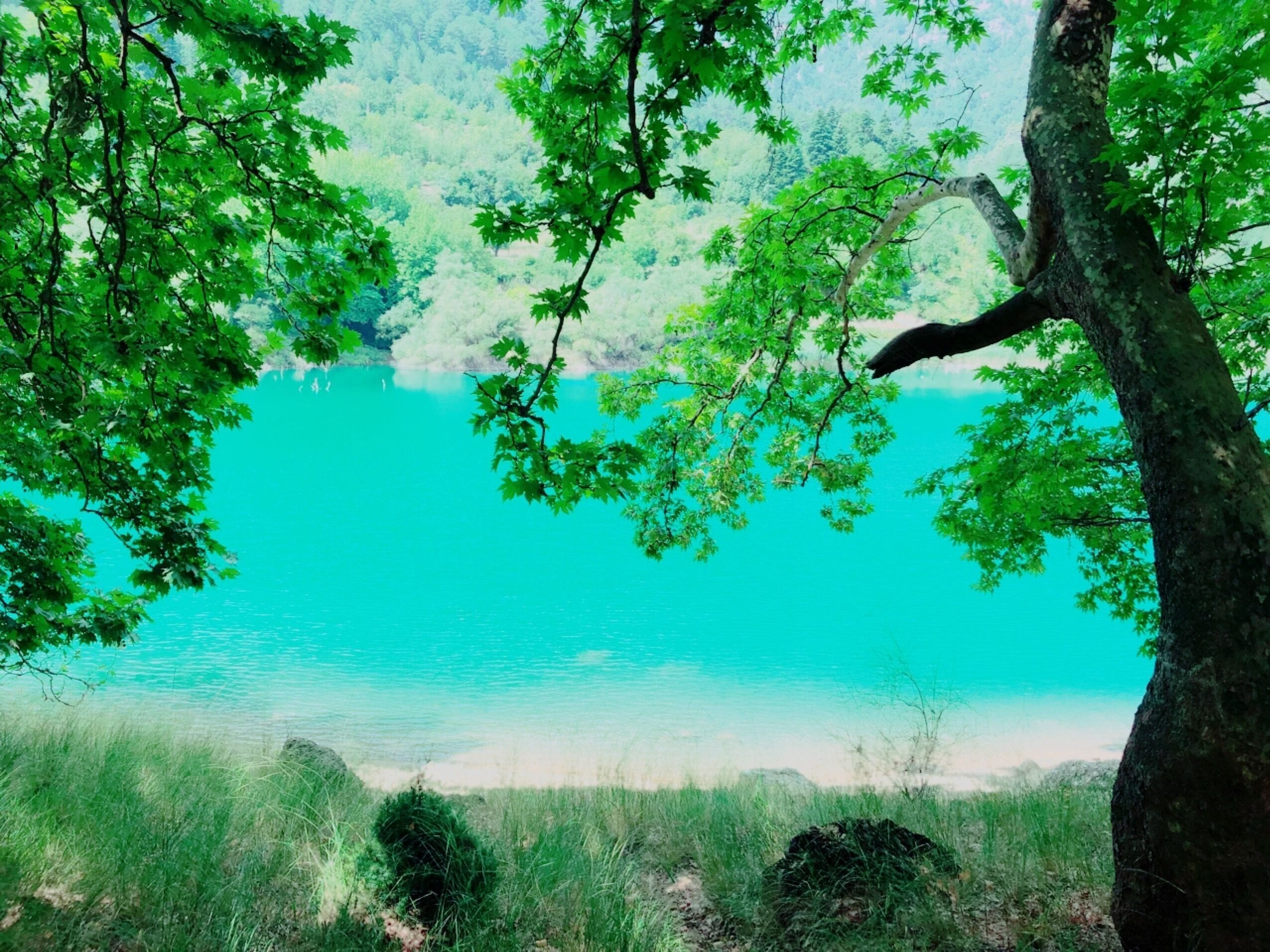 ..these colors are magic..