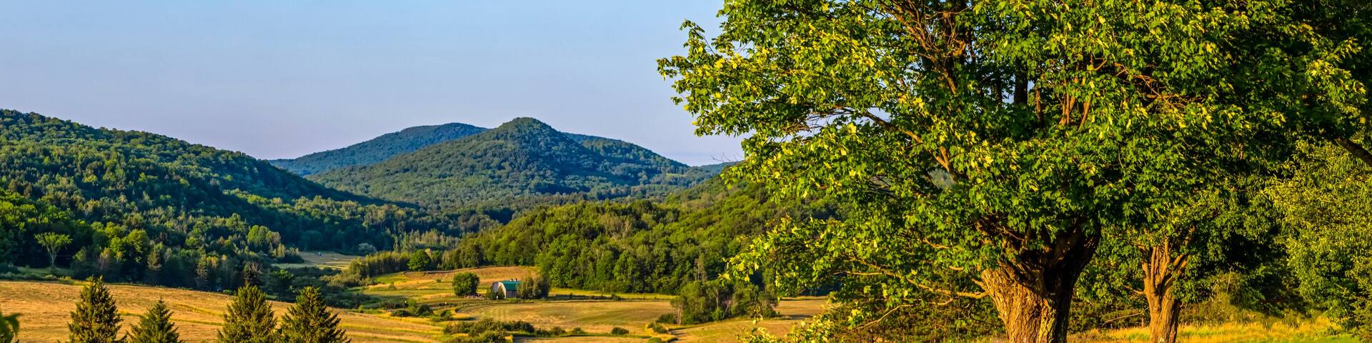 Country road with lush trees and hills; Cowansville, Quebec, Canada