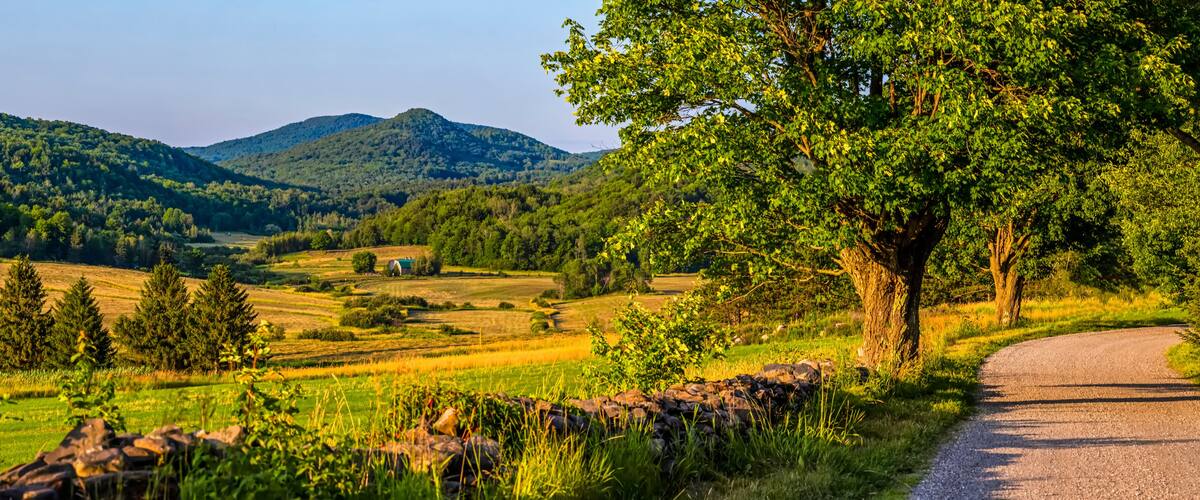 A rural landscape with rolling hills, a stone wall, and a winding road.