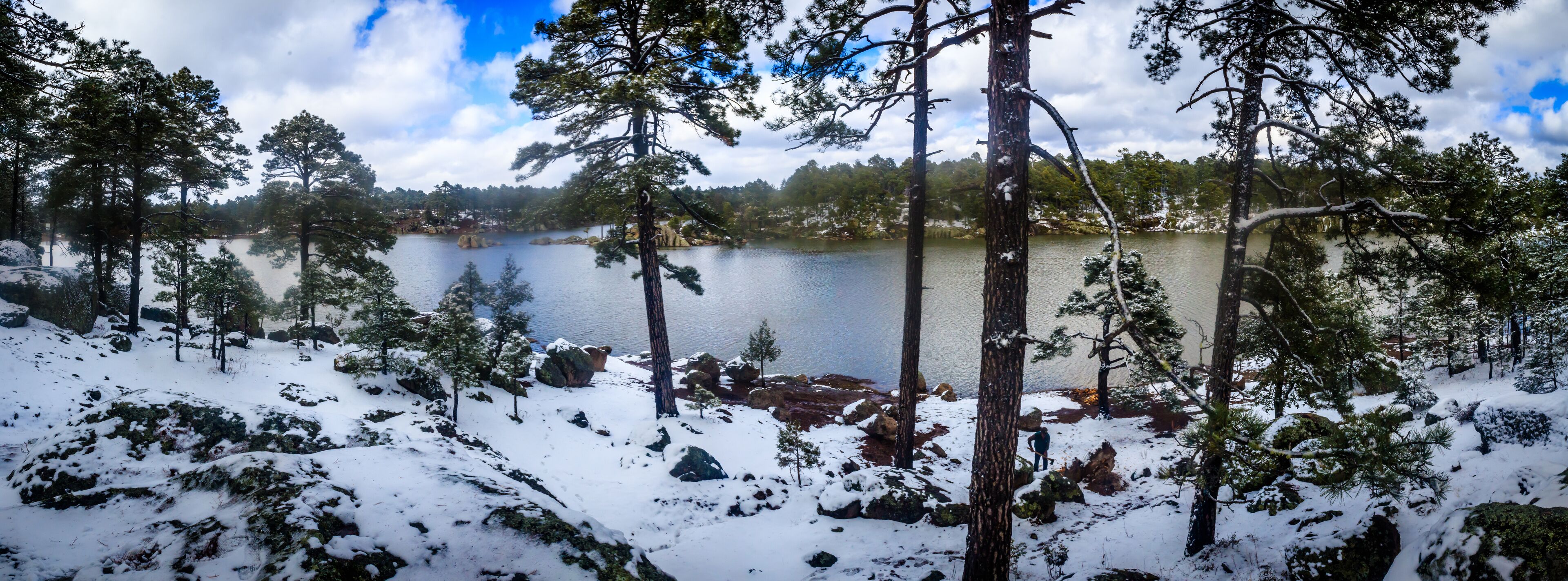 lake at winter with snow and trees around in arereco lake, creel chihuahua 