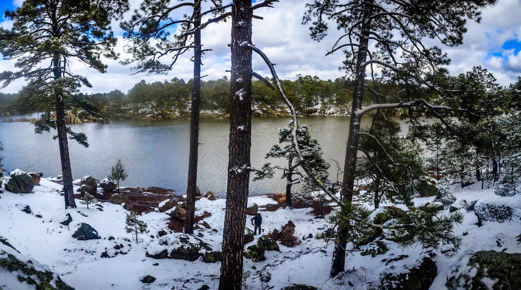 lake at winter with snow and trees around in arereco lake, creel chihuahua