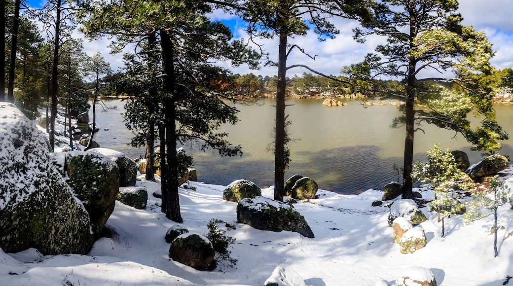 panoramic of lake at winter with snow and forest around with clouds in the sky, arareco lake in creel chihuahua