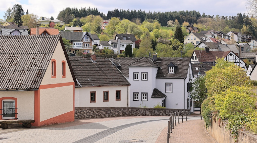 Blick in das Zentrum von Schalkenmehren bei Daun in der Eifel