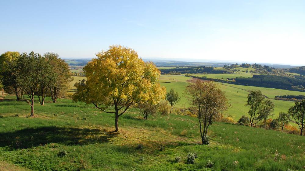 Daun – Dauner Maare – Eifelmaare