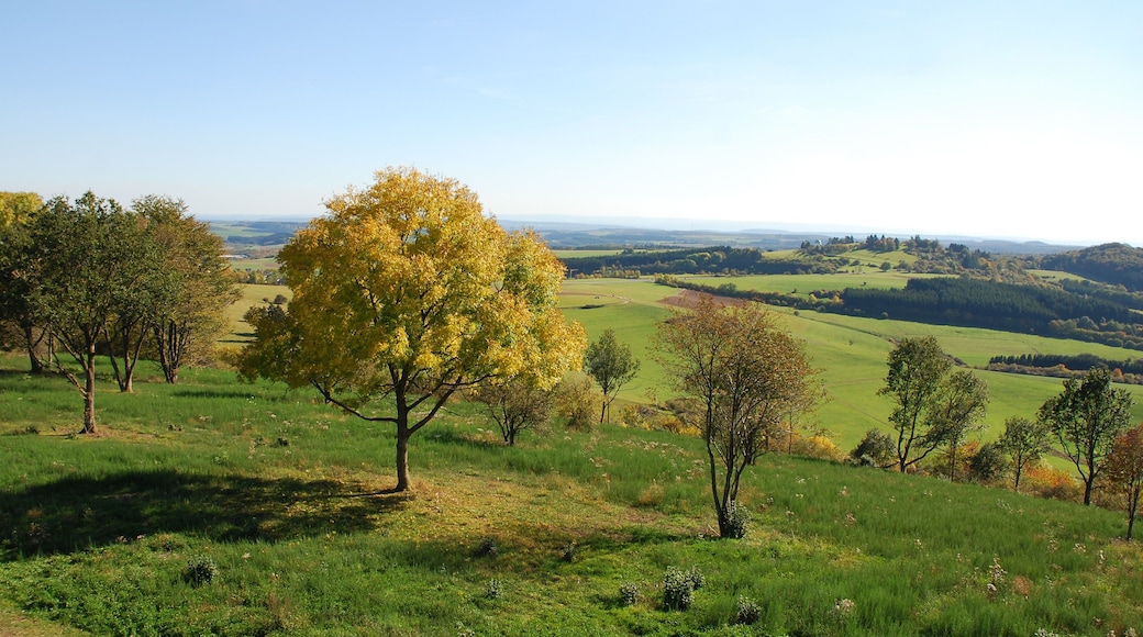 Daun – Dauner Maare – Eifelmaare