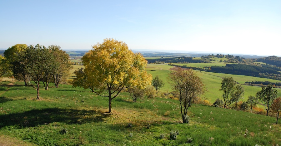 Daun – Dauner Maare – Eifelmaare