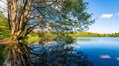 “Weinfelder Maar“ or “maar of the dead“ is a volcanic crater lake near Daun in the Eifel Mountains (Rhineland-Palatinate, Germany). Picturesque scenery with trees and perfect reflection in calm water.