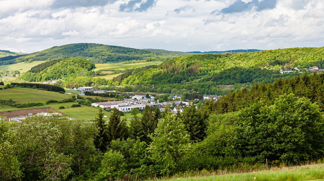 Wildpaek Daun, Eifel, Germany