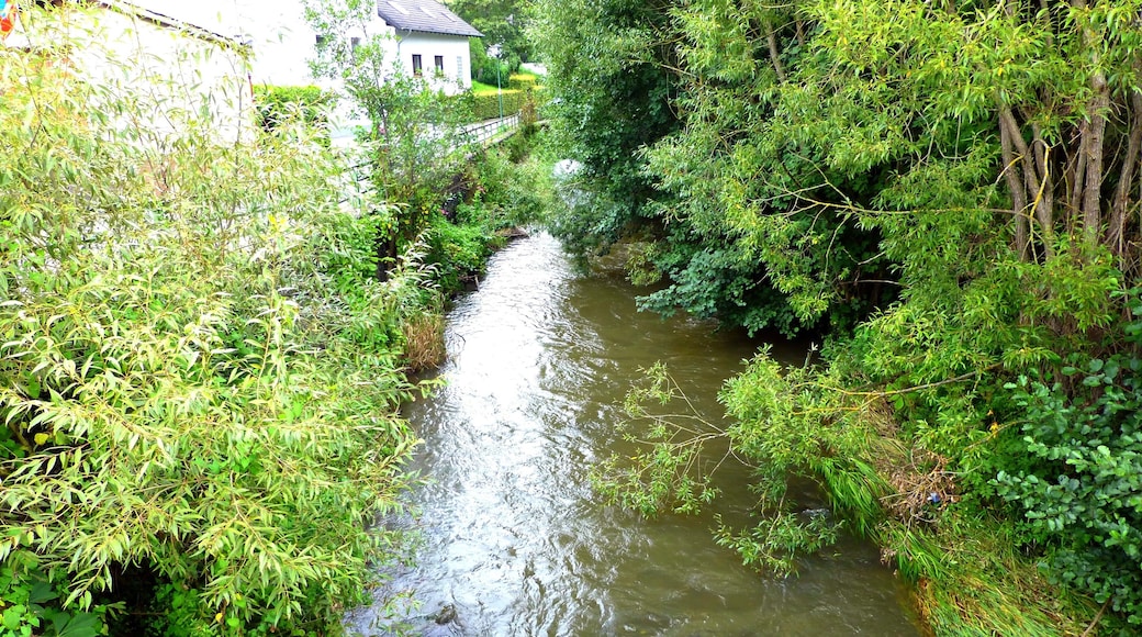 Daun - Lieser