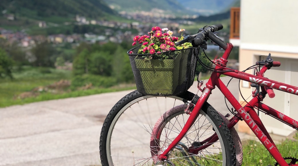 Lovely bed and breakfast in dimaro! Enjoy hiking in the mountains and amazing food!!! #adventure #italy #dimaro #alps #italia #bikes #mountains