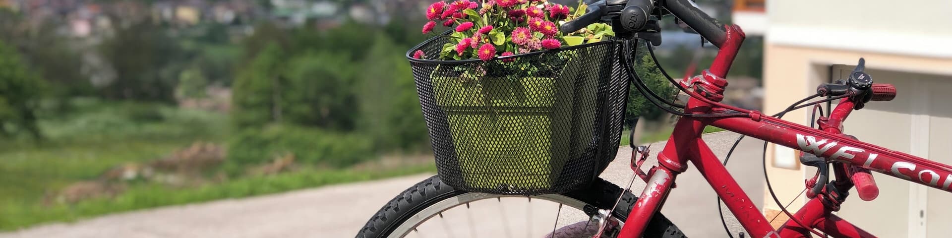 Lovely bed and breakfast in dimaro! Enjoy hiking in the mountains and amazing food!!! #adventure #italy #dimaro #alps #italia #bikes #mountains