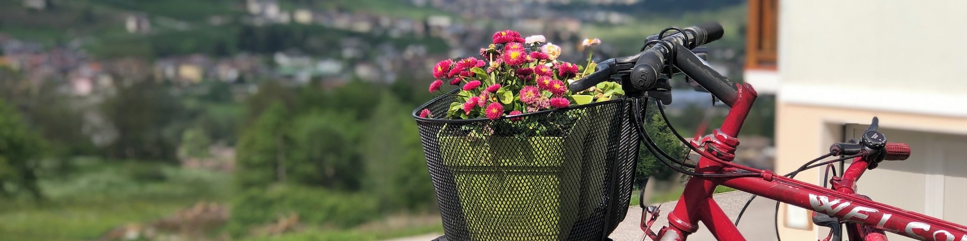 Lovely bed and breakfast in dimaro! Enjoy hiking in the mountains and amazing food!!! #adventure #italy #dimaro #alps #italia #bikes #mountains