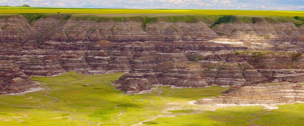A landscape with layered rock formations and a field of yellow flowers.