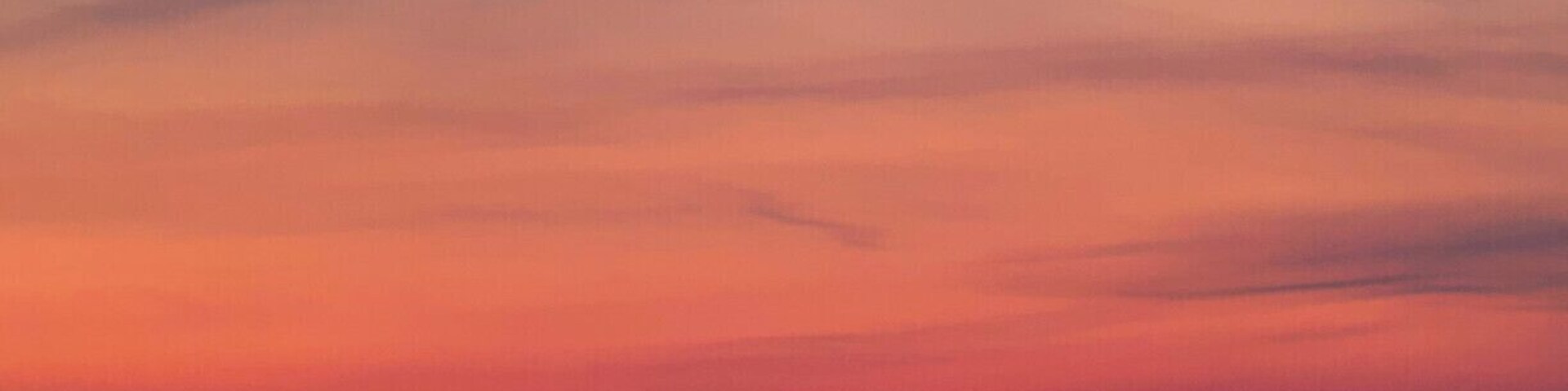 Beautiful sunset with wild horses in the distance. A fantastic end to our camping weekend.
#horses #explorealberta #sunset #goldenhour