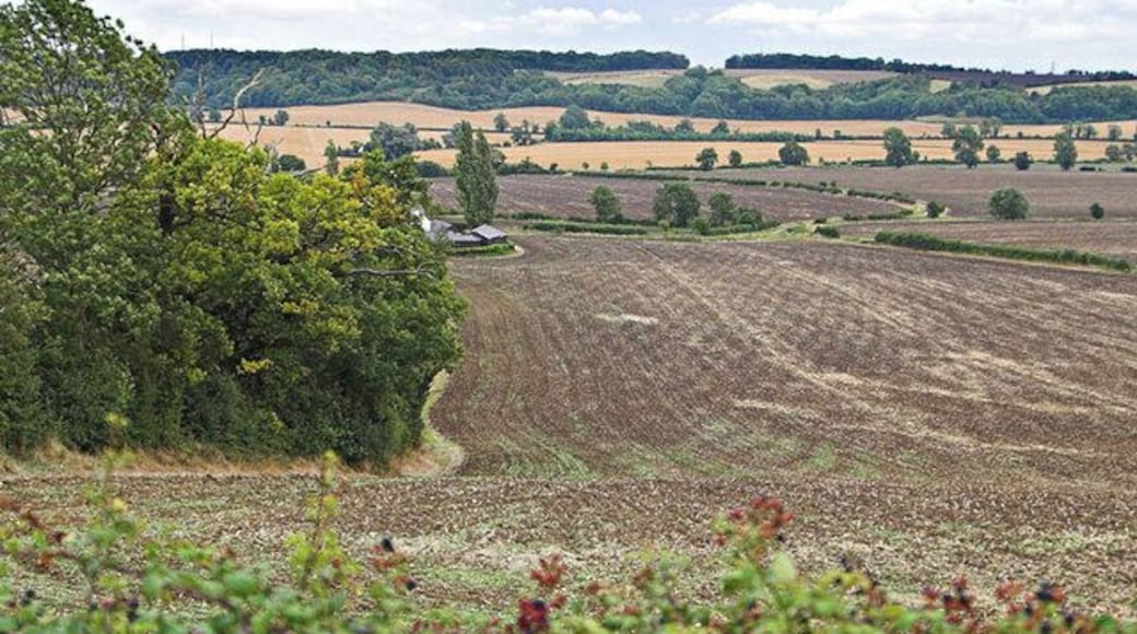 Willow Farm. Willow Farm and surrounding fields with the high ground of the Sundon Hills behind.