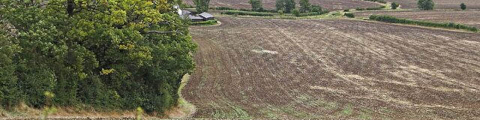 Willow Farm. Willow Farm and surrounding fields with the high ground of the Sundon Hills behind.
