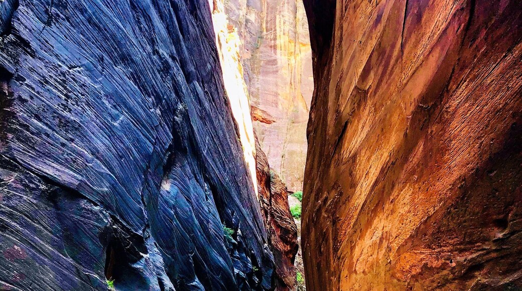 Fantastic walk down the Narrows. Truly memorable experience!
#roadtrip #ontheroad #adventure #trovember #greatoutdoors #usa #zion