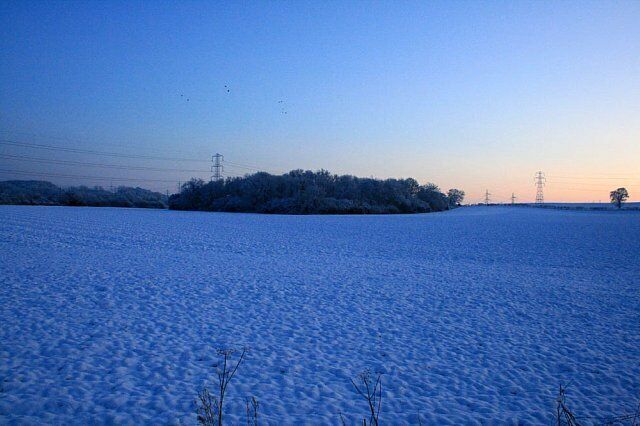 View toward Hipsey Spinney Just after sunset, so the snow is blue, reflecting the fading sky.