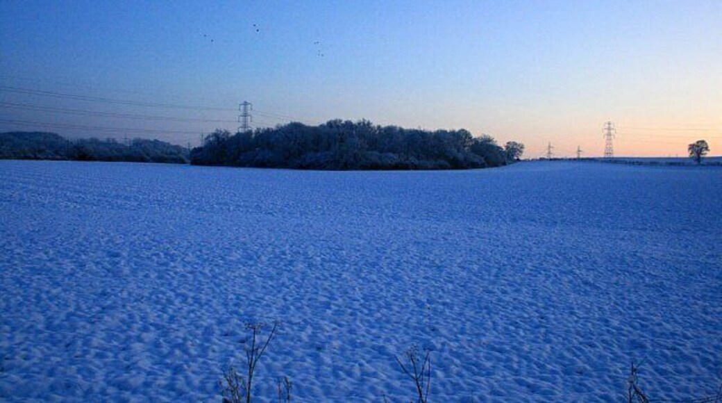 View toward Hipsey Spinney Just after sunset, so the snow is blue, reflecting the fading sky.