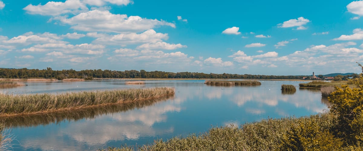 A calm lake with reflections of the sky and surrounding vegetation.