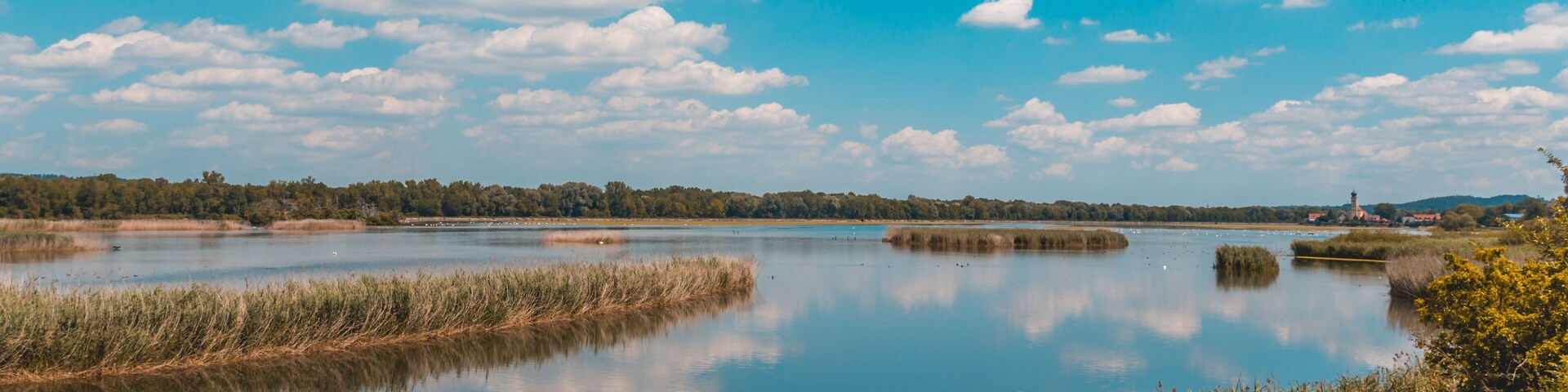 A calm lake with reflections of the sky and surrounding vegetation.