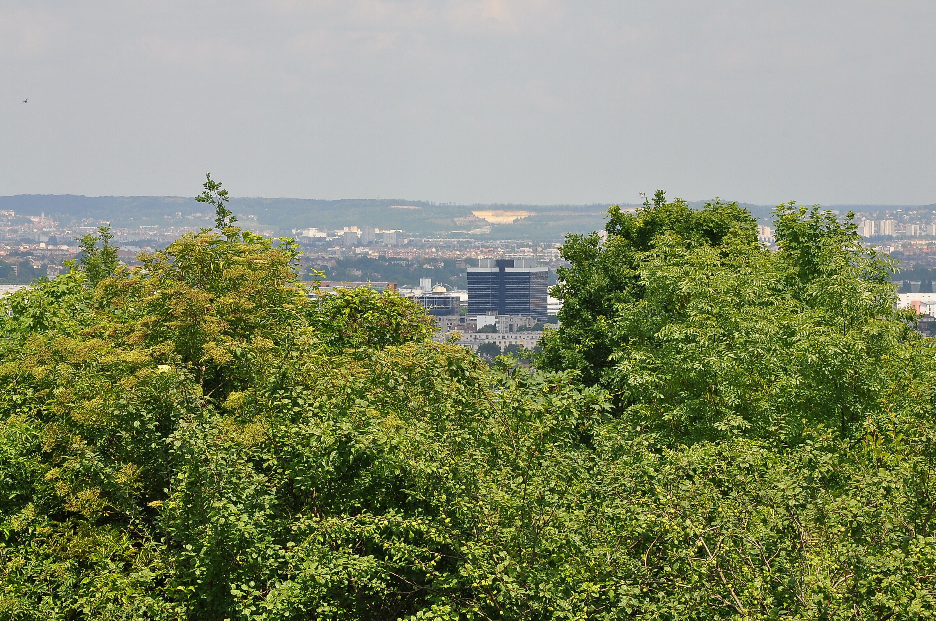 View towards Rueil in the Natural reserve of Gallicourts, municipality of Rueil-Malmaison, department of the Hauts-de-Seine in France.