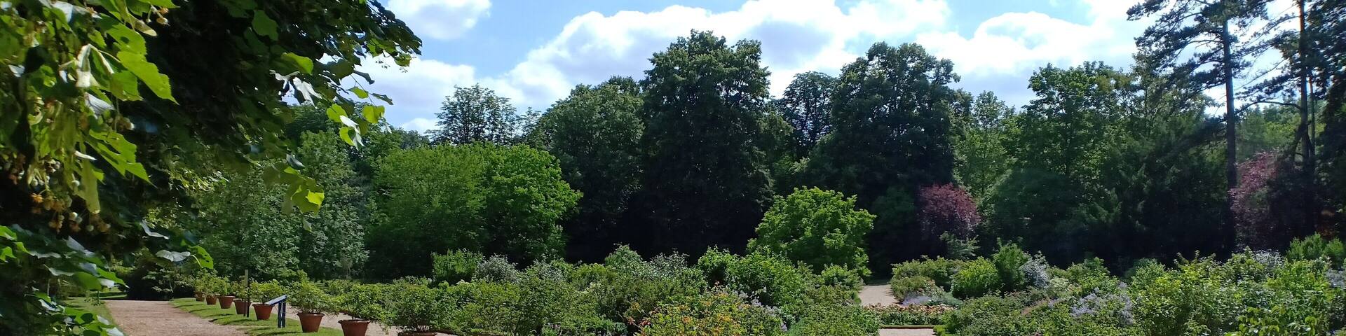 Malmaison castle garden