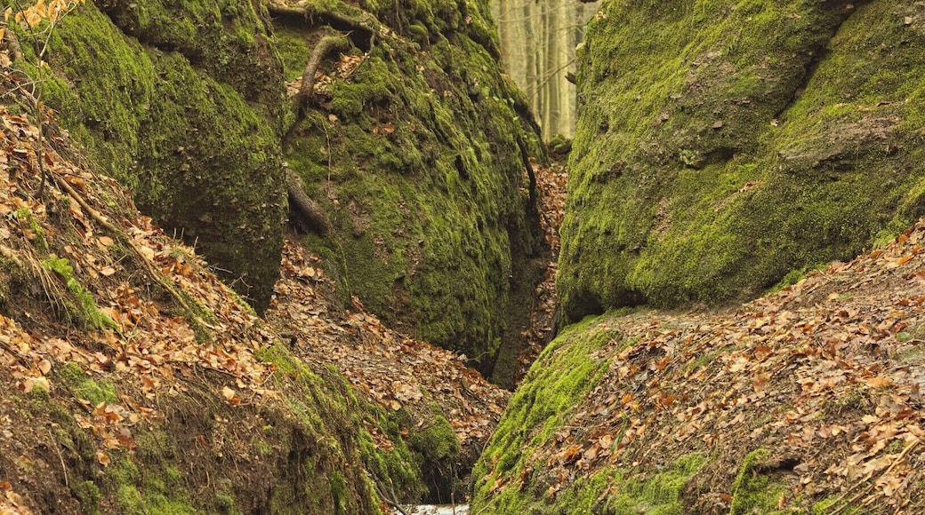 Arrondissement de Wartburg