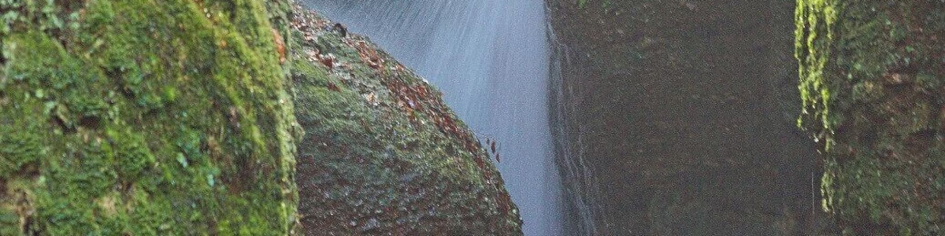 Die Drachenschlucht bei Eisenach - eine abenteuerliche Wanderung!
Dragon´s canyon - an amazing hike near Eisenach.