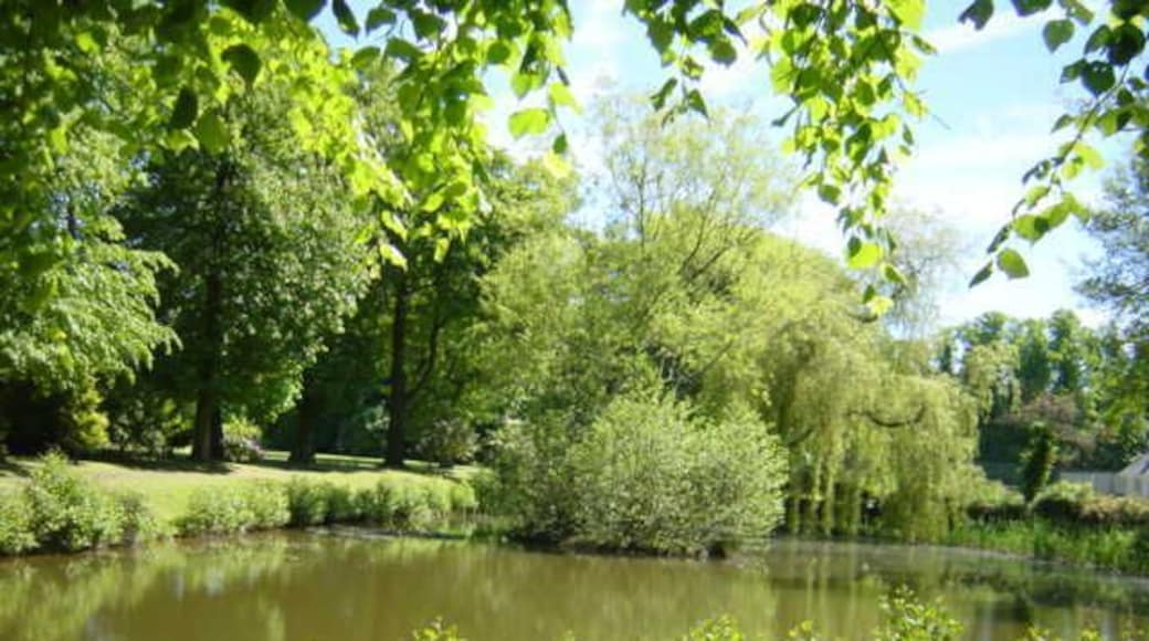 Pond at Inglewood House