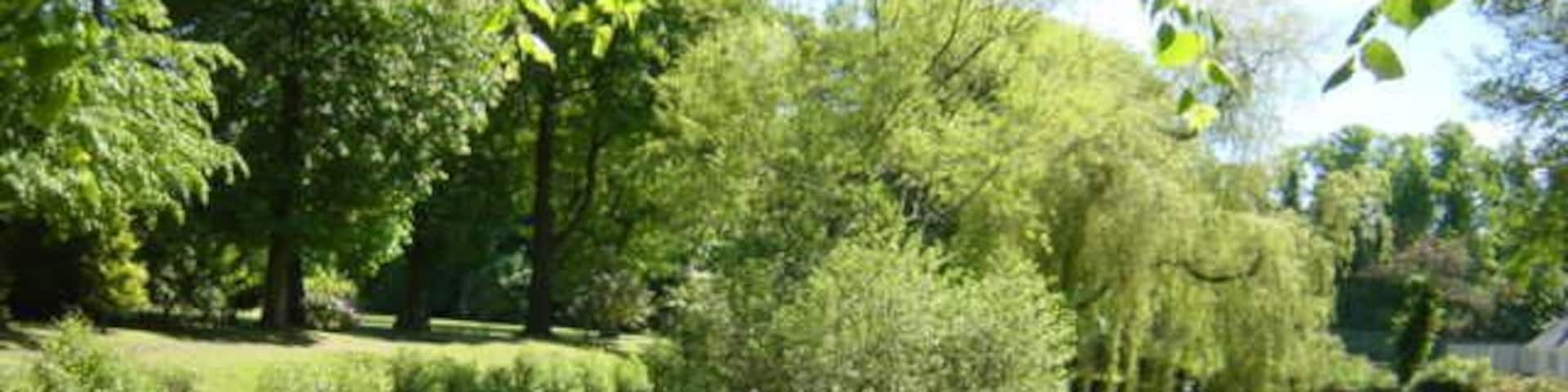 Pond at Inglewood House