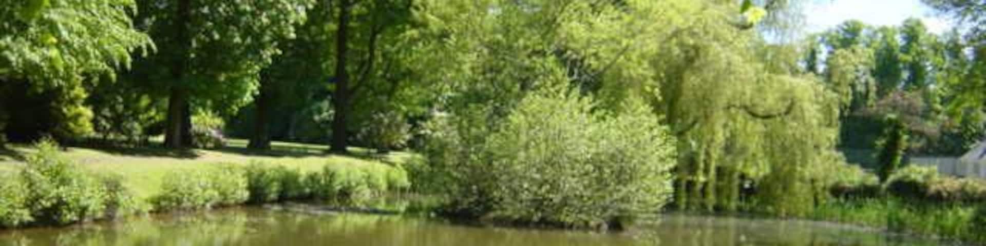 Pond at Inglewood House