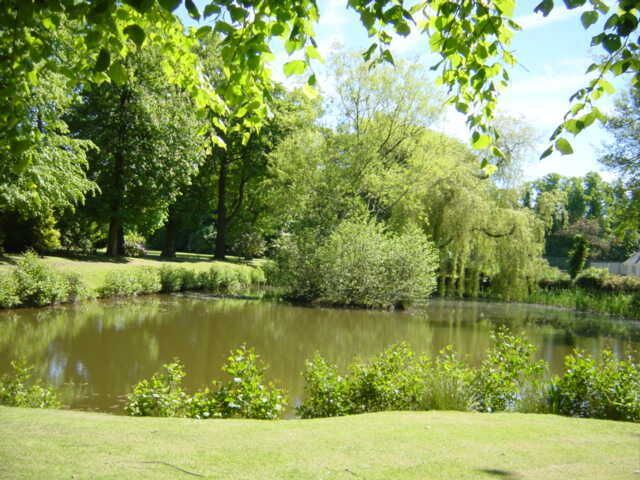 A calm pond surrounded by lush greenery and trees.