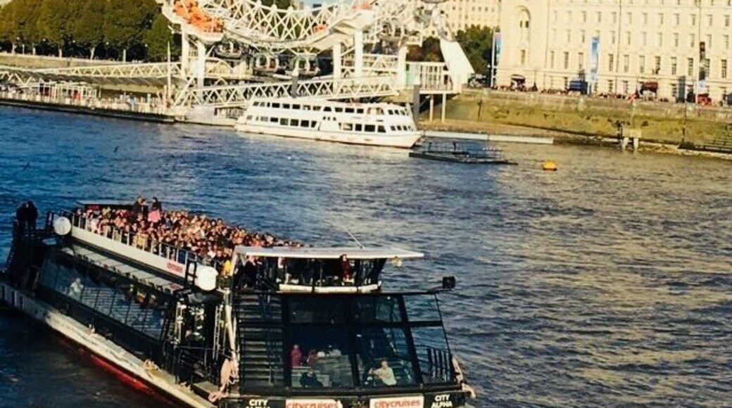 London Eye view from London Bridge