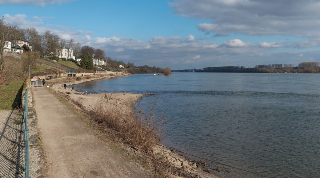 The Leinpfad (Towpath) which connects Eltville and Walluf as seen from near Burg Crass