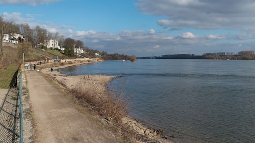 The Leinpfad (Towpath) which connects Eltville and Walluf as seen from near Burg Crass