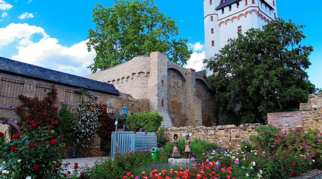 Der Rosengarten in der Kurfüstlichen Burg Eltville am Rhein wurde 1979 angelegt. Er beheimatet über 350 verschiedene Rosensorten von historischen Rosen, Kletterrosen bis zu 10 Metern Höhe und japanischen Rosen. Die Rosen befinden sich im Burggarten, aber auch im historischen Burggraben sowie an der Rheinpromenade. Darunter sind zahlreiche sehr seltene Rosensorten. Seit 1988 ist Eltville am Rhein als Rosenstadt des Vereins Deutscher Rosenfreunde anerkannt. Jährlich Anfang Juni lädt die Stadt zur Veranstaltung "Rosentage" nach Eltville am Rhein ein. Im Sommer blühen über 10.000 Rosen.