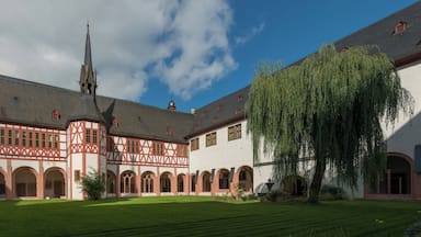 A courtyard with a church, a large tree, and a building with a steep roof.