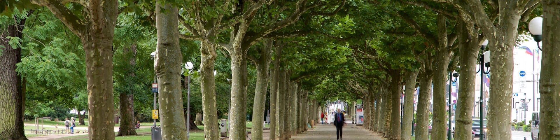 Eltville am Rhein featuring a park