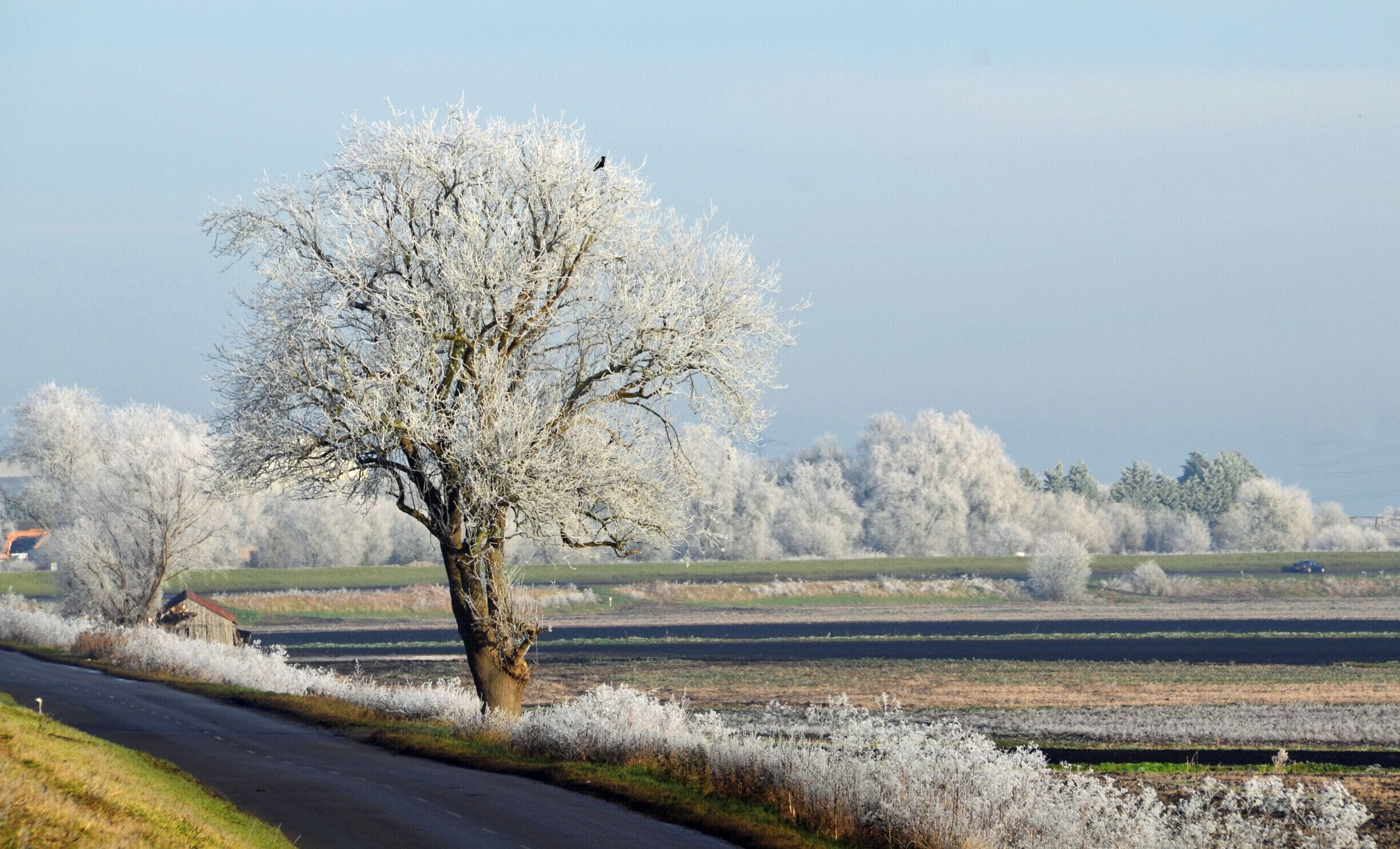 District de East Cambridgeshire