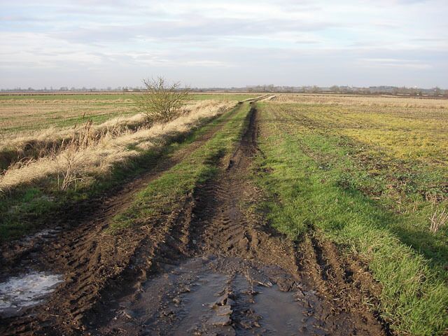 Low Fen Track along one of the many ditches.