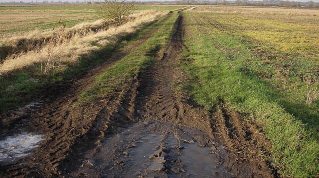 Low Fen Track along one of the many ditches.