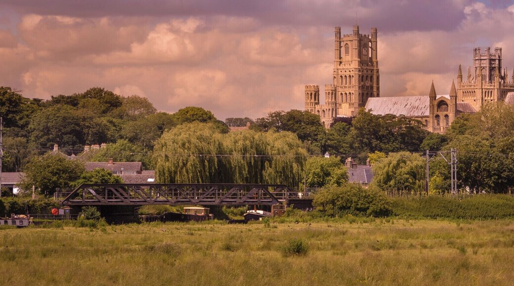 Ely Cathederal, taken from Prickwillow Road.