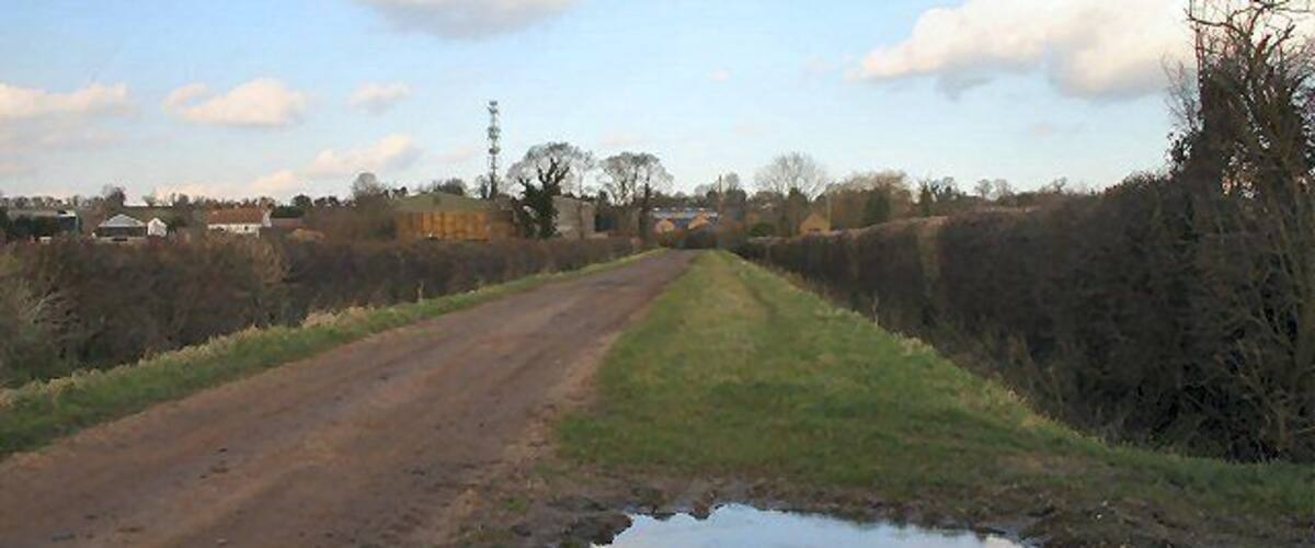 A rural dirt road with puddles, surrounded by fields and sparse trees.