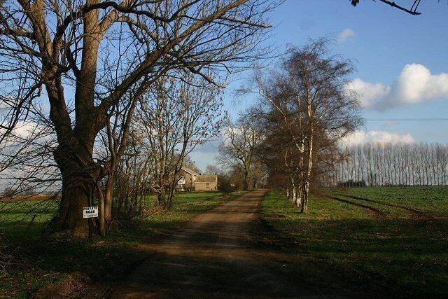 A rural road flanked by leafless trees and a distant house.