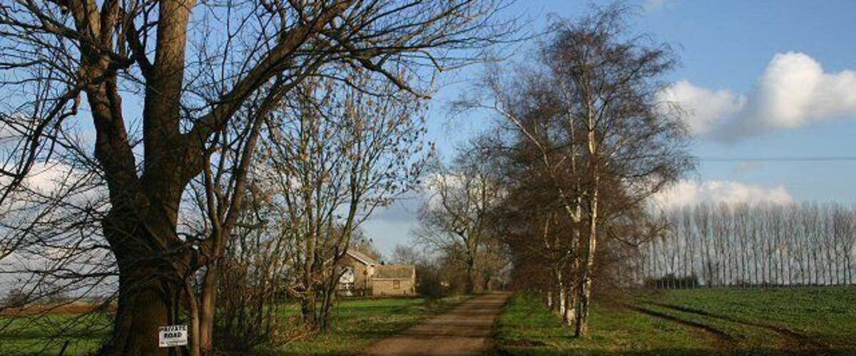A rural road flanked by leafless trees and a distant house.